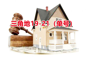 序号01：三角地19-21（单号）